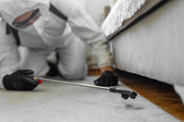 Professional Bed Bug Control technician working in Guttenberg, IA