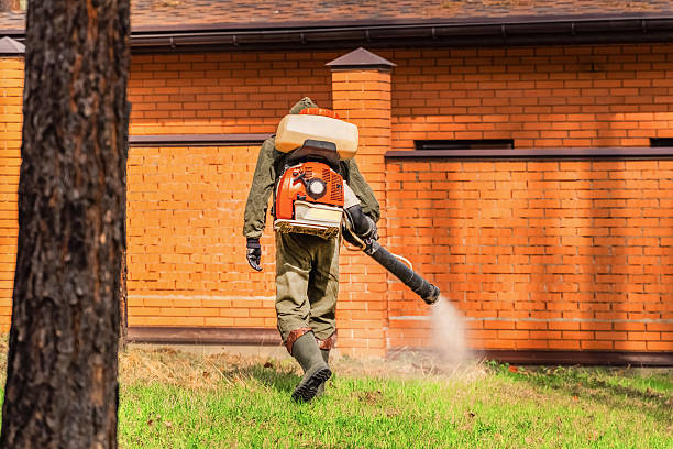Trusted Emergency Pest Control service in Guttenberg, IA - Nex Pest Control